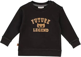 Frogs and Dogs Pullover 25091011 Gr 80 (reserviert für Geburtsliste)